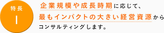 企業規模や成長時期に応じて、最もインパクトの大きい経営資源からコンサルティングします。